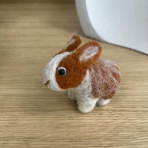 Baby lapin