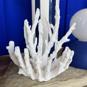 Corail poly blanc s