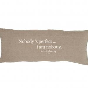 Coussin smoothie " nobody's perfect "