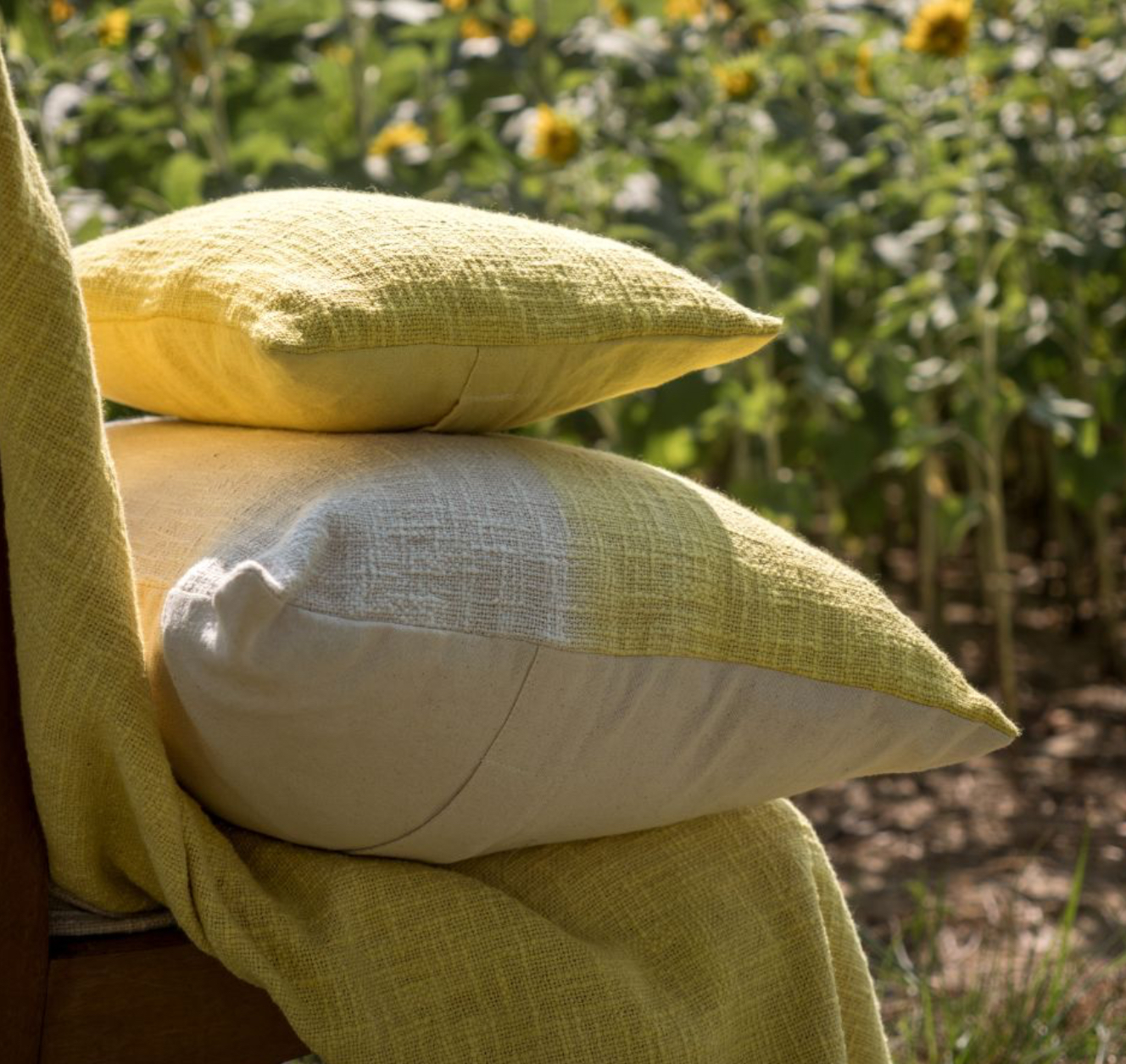 Coussin talc citrus